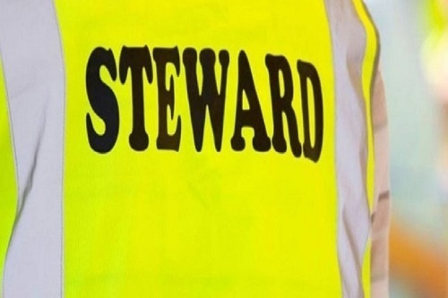 Accoglienza utenti, Steward